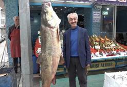 Avladığı 128 kiloluk 'Fırat turnası'nı iş yerinde sergiliyor