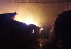 Mersin'de defne yaprağı işleme fabrikasında yangın