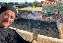 Süryani rahibenin 36 yıl sonra döndüğü köyünde diktiği zeytin fidanlarını kırdılar