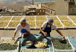 TBMM Dilekçe Komisyonu, Mardin'de Topraktan Tabağa Tarımsal Kalkınma Kooperatifi'ni inceledi