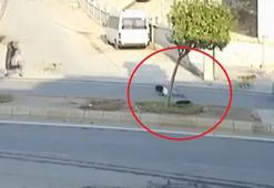 Köpeklerden kaçarken kamyonetin altında kalmaktan son anda kurtuldu