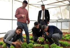 Özel öğrencilere okul bahçesinde doğayla iç içe eğitim