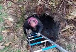 Tarihi hamamda mahsur kalan 5 yavru köpek kurtarıldı