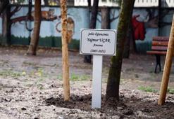 Terör saldırısında hayatını kaybeden Yağmur’un anısına fidan dikildi