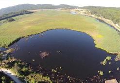 Buldan'da 21 bin yıl öncesine ait fosil zeytin polenlerine rastlandı