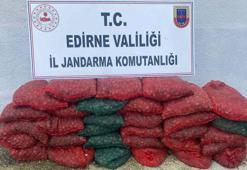 1 ton kaçak midye ile yakalanan 2 kişiye 148 bin lira ceza