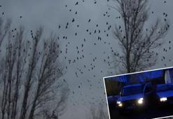 Kargaları bu kez korna çalarak uzaklaştırmaya çalıştılar