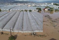 Sel felaketinin yaşandığı Kumluca'da hale giren ürün, yüzde 90 azaldı
