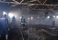 Tavuk çiftliğinde çıkan yangında 23 bin civciv öldü