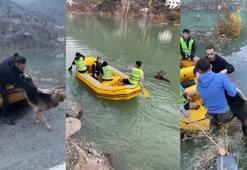 Suların yükseldiği Yusufeli’nde mahsur kalan köpek, botla kurtarıldı