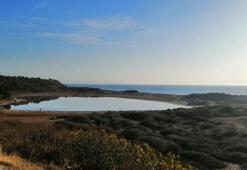 Alexandria Troas Antik Kenti'nin liman bölümünde 2 bin yıllık mendirek bulundu