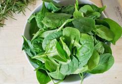 Avustralya’da ıspanak yiyen 47 kişi zehirlendi, 17’si hastaneye kaldırıldı