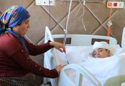 Sokak köpeğinin saldırdığı Nihatcan'ın saç derisi koptu