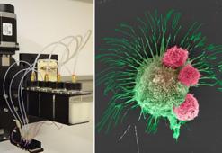 Kansere çareyi 3 boyutlu arıyorlar