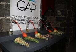 Mezopotamya bitkilerinden üretilen 3200 yıllık kokunun seri üretimi için geri sayım başladı