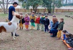 Bu ana sınıfında öğrenciler hamur yerine çamur kullanıyor, saymayı böceklerle öğreniyor