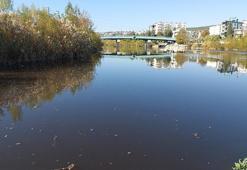 Kuş cennetinden geçip denize dökülen Göksu Nehri'nde su siyaha döndü