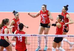 Türk Hava Yolları - Viteos Neuchatel: 3-0