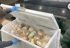 Kargo şirketinde 93 kilo esrar ele geçirildi; 1 kişi tutuklandı