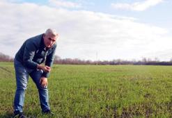 Prof. Dr. Kaya: Yağmur buğdayı kurtardı, tarım çok büyük etkilenirdi