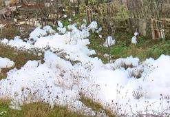 Eyüpsultan'da mahalleyi köpük sardı