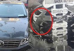 Zabıta müdürünün otomobiline boya sökücü döküldü, o anlar kamerada