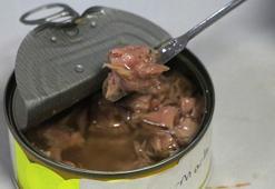 Konserve balıktan mikroplastik çıktı