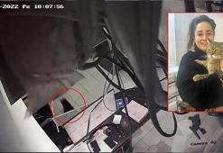 Kedi, asma tavanı çökertti; iş yeri sahibi, ‘diyeti bozmuş’ dedi