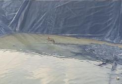 Sulama havuzuna düşen çakal kurtarıldı