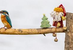 Yılbaşı sürprizi yalıçapkını