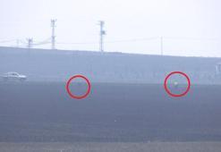 Kaçak avcılar üniversite göletinin sınırını geçen kuşları avladı; o anlar görüntülendi