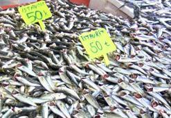 Karadeniz’de istavrit tezgahlara geri döndü