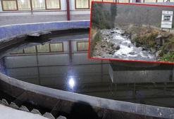 Fırtına Deresi, kirlilikten kurtuluyor