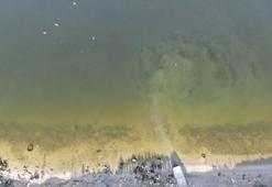 Küçükçekmece Gölü'nün MR'ı çekildi... Prof.Dr. Albay: 1. derece sit alanı ilan edilmeli