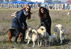 2 kadının kurduğu 'Merhamet Bahçesi', sokak hayvanlarına yuva oldu