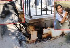 Paşa'yı kulübesinde diri diri yaktılar