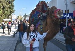 Bodrum sokaklarına develer çıktı, turistler fotoğraf çektirdi