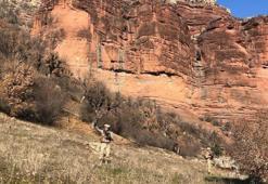 Batman'da 'Eren Abluka Sonbahar-Kış-20' operasyonu başlatıldı