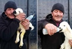 Annesinin kabul etmediği 'Nokta'yı, biberonla besliyor