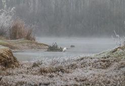 Dicle Vadisi, kırağı ile birlikte beyaza büründü