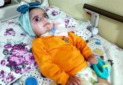 SMA’lı Havvanur için gereken paranın yüzde 10’u toplanabildi