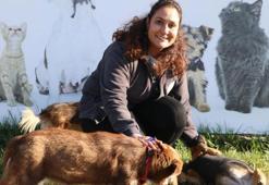 Denizli'de geçen yıl terk edilen hayvan sayısı 26 bini aştı