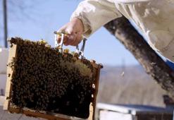 Eti Maden'den, köylülere 'Bal Gibi Madencilik' desteği