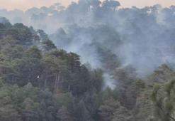 Denizli'deki orman yangınında 5 hektar alan zarar gördü