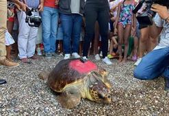 Kıbrıs Barış Harekatı'nın yıl dönümünde denize bırakıldı, 2 bin 500 kilometre yol katetti