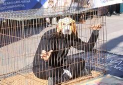Hayvanseverlerden sokak hayvanları için bakımevi ve kısırlaştırma talebi