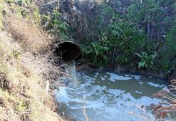 Edirne'nin kanalizasyon suları, Tunca Nehri'ne akıyor