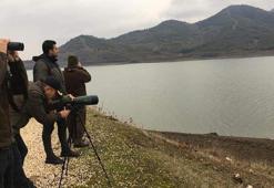 Tahtaköprü Barajı'nda kuş sayımı gerçekleştirildi