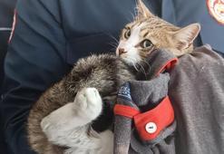 İtfaiye ekibi kurtardıkları, bir bacağı ampute edilen kediyi sahiplendi