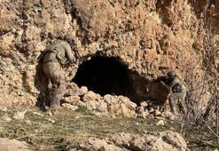 Mardin'de 'Eren Abluka Sonbahar-Kış-22 Operasyonu' başlatıldı